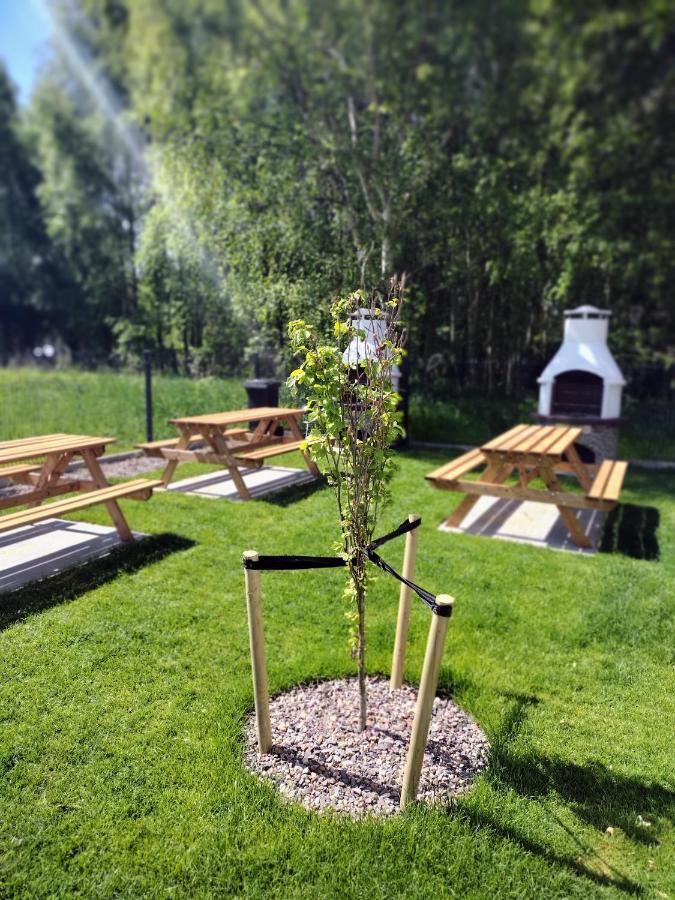 Apartament Zacisze Olo Нєхоже Екстер'єр фото